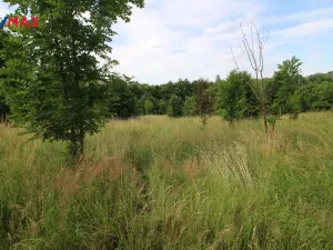 Prodej louky, Frýdlant, 25331 m2