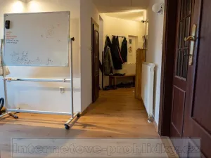 Pronájem pokoje, Praha - Nusle, Horní, 20 m2