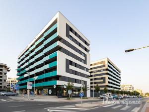 Pronájem bytu 2+kk, Praha - Žižkov, Olgy Havlové, 45 m2