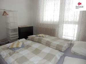 Pronájem bytu 2+1, Jihlava, Jarní, 56 m2