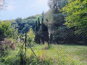 Prodej zahrady, Bělá pod Bezdězem, Nad Kuřívodskou Silnicí, 525 m2