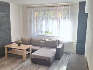 Pronájem bytu 2+1, Bílina - Teplické Předměstí, M. Švabinského, 55 m2