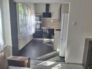 Pronájem bytu 2+1, Bílina - Teplické Předměstí, M. Švabinského, 55 m2