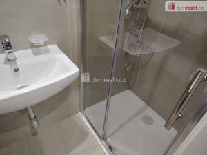 Pronájem bytu 1+kk, Děčín - Děčín III-Staré Město, Zelená, 20 m2