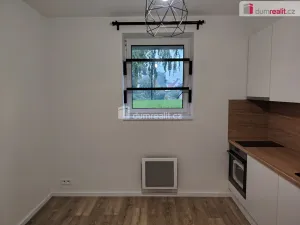 Pronájem bytu 1+kk, Děčín - Děčín III-Staré Město, Zelená, 21 m2