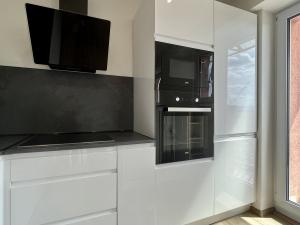 Pronájem bytu 2+1, Havířov - Podlesí, Elišky Krásnohorské, 53 m2