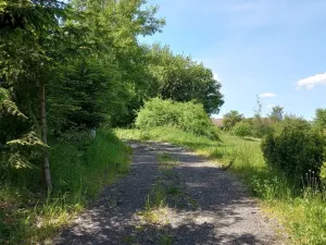 Prodej pozemku pro bydlení, Anenská Studánka, 1226 m2