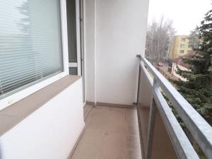 Pronájem bytu 1+1, Hradec Králové - Věkoše, Na Zahrádkách, 40 m2