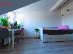 Pronájem bytu 1+1, Praha - Nusle, Na Fidlovačce, 24 m2