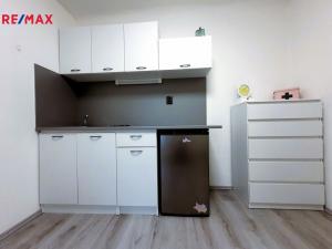 Pronájem bytu 1+1, Praha - Nusle, Na Fidlovačce, 24 m2