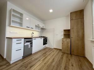 Pronájem bytu 2+1, Ostrava - Přívoz, Arbesova, 55 m2
