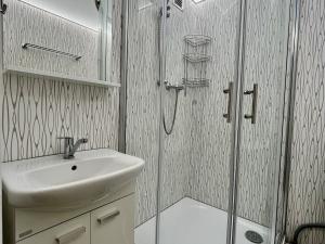Pronájem bytu 2+1, Ostrava - Přívoz, Arbesova, 55 m2