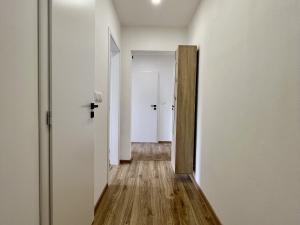 Pronájem bytu 2+1, Ostrava - Přívoz, Arbesova, 55 m2