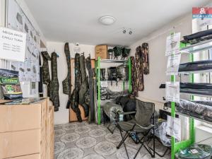 Prodej výrobních prostor, Štětí, Cihelná, 2882 m2