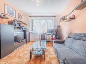 Prodej bytu 1+1, Kladno - Kročehlavy, Finská, 35 m2