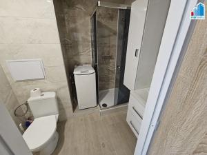 Pronájem bytu 1+1, Holýšov, Pod Makovým vrchem, 40 m2