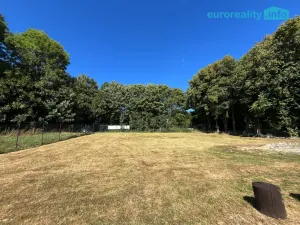 Prodej pozemku pro bydlení, Tři Sekery - Tachovská Huť, 1164 m2