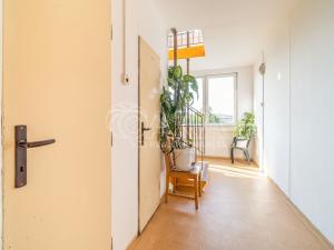 Prodej bytu 1+kk, Praha - Prosek, Bílinská, 26 m2