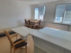 Pronájem bytu 1+kk, Plzeň - Severní Předměstí, Hodonínská, 32 m2