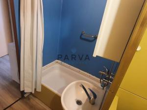 Pronájem bytu 1+kk, Plzeň - Severní Předměstí, Hodonínská, 32 m2