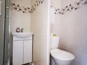 Pronájem bytu 1+kk, Most, Česká, 33 m2
