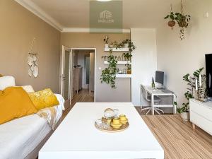 Prodej bytu 2+1, Plzeň, Brojova, 56 m2