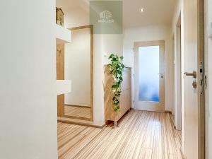 Prodej bytu 2+1, Plzeň, Brojova, 56 m2