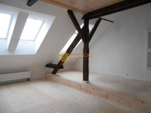 Pronájem bytu 1+1, Hradec Králové, Mánesova, 50 m2