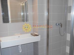 Pronájem bytu 1+1, Hradec Králové, Mánesova, 50 m2