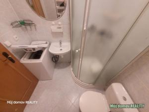 Pronájem bytu 1+1, Praha - Smíchov, U Santošky, 45 m2