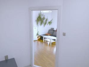 Prodej bytu 2+kk, Olomouc, Dolní náměstí, 61 m2