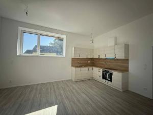Pronájem bytu 2+kk, Břehy, K Pile, 50 m2
