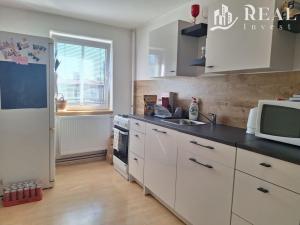 Pronájem bytu 2+1, Louka u Litvínova, Ruských zajatců, 63 m2