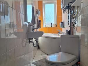 Pronájem bytu 2+1, Louka u Litvínova, Ruských zajatců, 63 m2