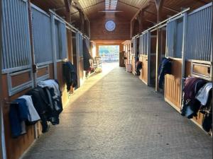 Pronájem zemědělské usedlosti, Sulice, 300 m2