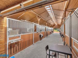 Pronájem zemědělské usedlosti, Sulice, 300 m2