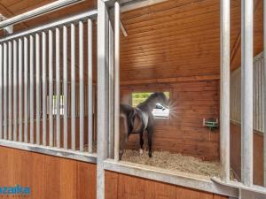 Pronájem zemědělské usedlosti, Sulice, 300 m2