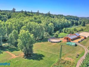 Pronájem zemědělské usedlosti, Sulice, 300 m2