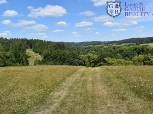 Prodej rybníku, Božetice, 11677 m2