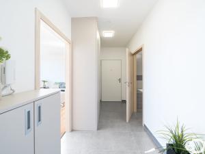 Prodej bytu 2+kk, Mladá Boleslav, Laurinova, 62 m2