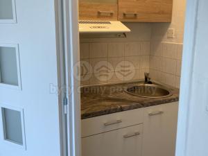 Prodej bytu 1+kk, Ostrava - Hrabůvka, Krakovská, 20 m2