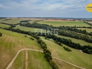 Prodej vícegeneračního domu, Potštát - Kovářov, 190 m2