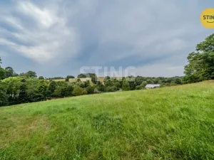 Prodej vícegeneračního domu, Potštát - Kovářov, 190 m2