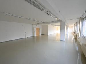 Pronájem skladu, Praha - Prosek, Litvínovská, 287 m2