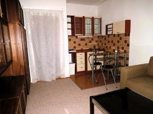 Pronájem bytu 1+kk, Brno, Halasovo náměstí, 24 m2