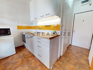 Prodej bytu 1+1, České Budějovice, Nerudova, 36 m2