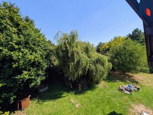 Pronájem rodinného domu, Třebotov, V Zálesí, 350 m2