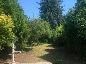 Prodej rodinného domu, Brno, Franzova, 160 m2