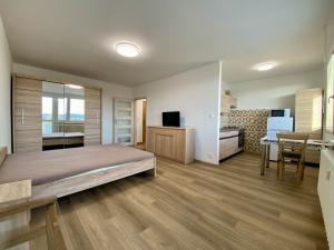 Pronájem bytu 1+kk, Kutná Hora, Havířská stezka, 34 m2