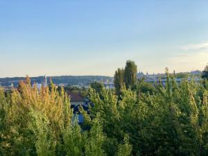 Pronájem bytu 1+kk, Kutná Hora, Havířská stezka, 34 m2